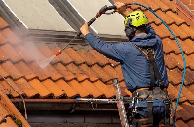 Démoussage et hydrofuge de toiture à Puycapel